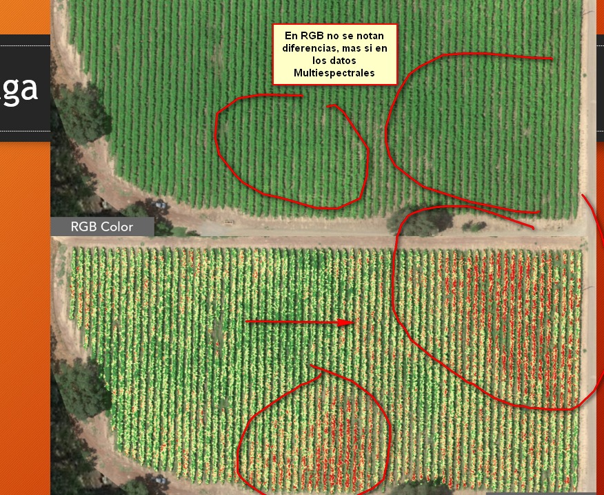 Curso agricultura de precisión