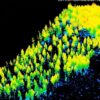 CURSO PROCESAMIENTO DE DATOS LIDAR