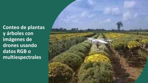 curso Conteo de plantas con dron